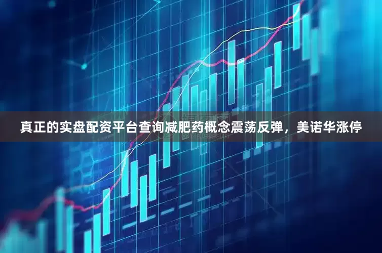 真正的实盘配资平台查询减肥药概念震荡反弹，美诺华涨停