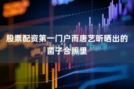 股票配资第一门户而唐艺昕晒出的菌子合照里