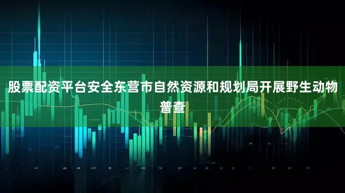 股票配资平台安全东营市自然资源和规划局开展野生动物普查
