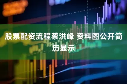 股票配资流程蔡洪峰 资料图公开简历显示